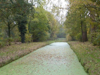 2014 10 30 Seniorenochtend Slotdag